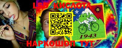 молекула духа Кингисепп