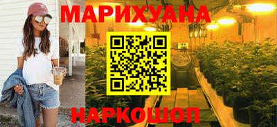 молекула духа Кингисепп