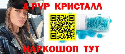 молекула духа Кингисепп