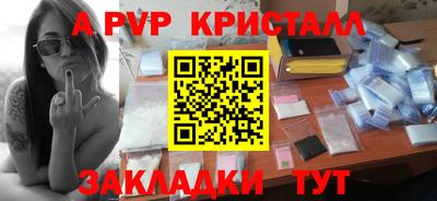 молекула духа Кингисепп