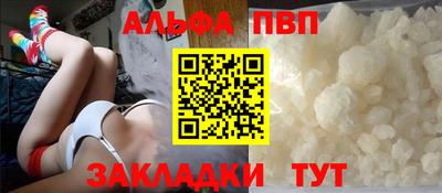 молекула духа Кингисепп