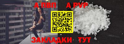 молекула духа Кингисепп
