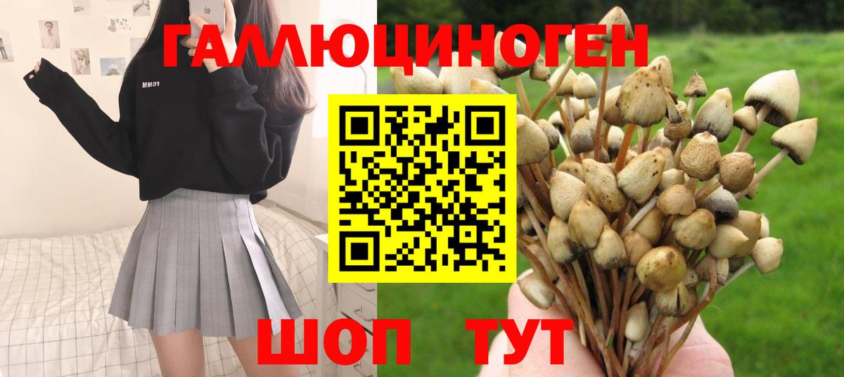 Псилоцибиновые грибы Magic Shrooms Красноармейск