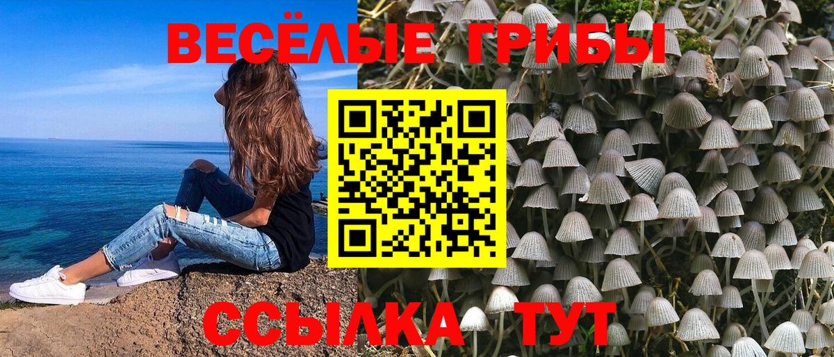 Галлюциногенные грибы мицелий  Вход с VPN  Красноармейск  Псилоцибиновые грибы ЛСД 